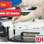 Tìm hiểu thời gian đào tạo văn bằng 2 Cao đẳng Xét nghiệm TPHCM năm 2022